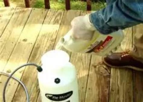 Can You Spray Thompson Water Seal?