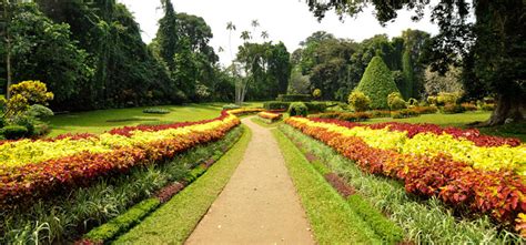 Le Jardin Botanique de Zakir Hussain : Une oasis luxuriante au cœur de Hyderabad !