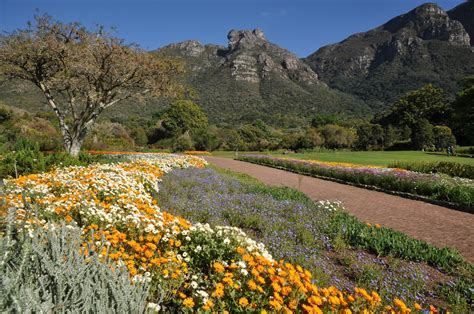 Le Jardin Botanique National de Queenswood: Une Oasis Verte et une Exploration Fascinante de la Flore Sud-Africaine!