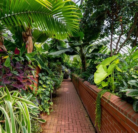  Le Jardin Exotique de St-Hélier : Un Oasis Tropicale au Coeur de Jersey!