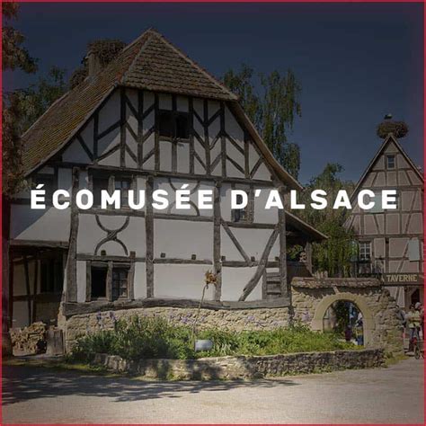 Le Musée d’Histoire de l'Écomusée d'Ecotourisme : Découvrez un trésor culturel dans la ville d'En Mai!