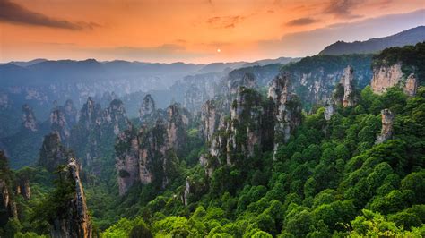 Le Parc de la Mer des Perles, un joyau scintillant de Zhanjiang !