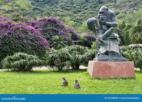 Le Parc Naturel de Nanwan, un paradis tropical caché à Sansha !