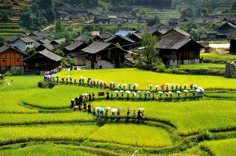  Le Village de l'Ethnie Miao à Fanjingshan: Une Immersion Vibrant dans la Culture et l'Histoire